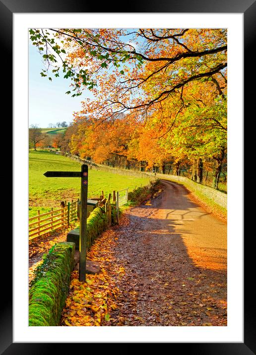 Rural country lane in autumn, Derbyshire. Framed Mounted Print by David Birchall