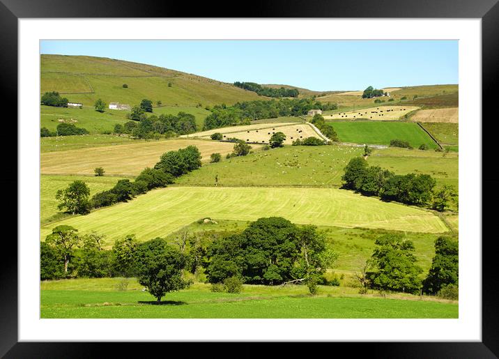 Lancashire summer landscape. Framed Mounted Print by David Birchall