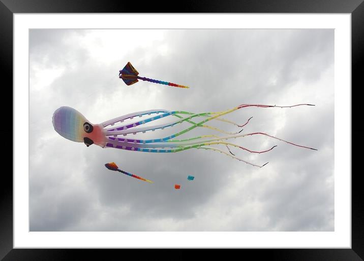 Novelty octopus kite. Framed Mounted Print by David Birchall