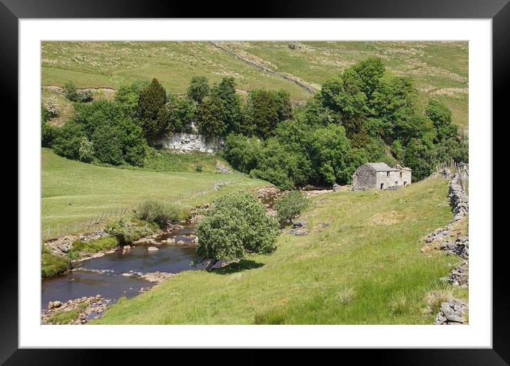 Derelict farmhouse by River Swale. Framed Mounted Print by David Birchall