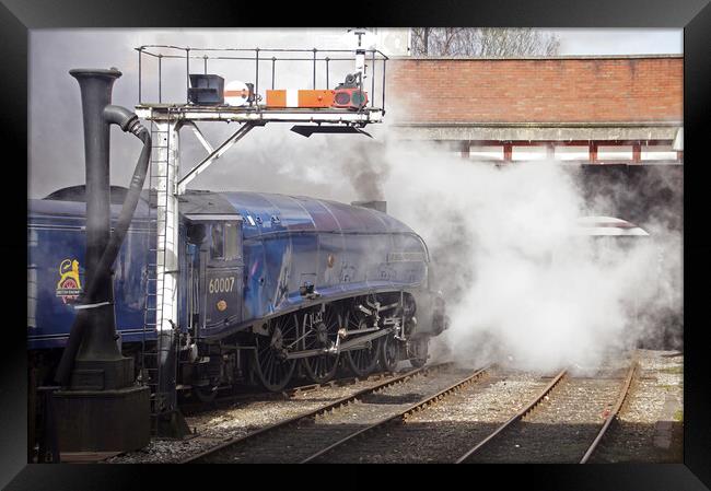 Steam locomotive 60007 Sir Nigel Gresley Framed Print by David Birchall