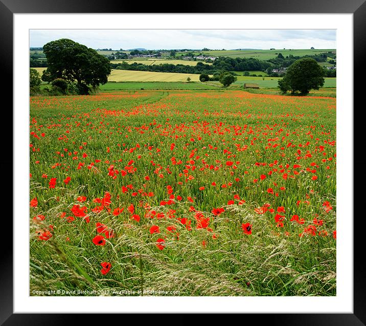 Country Summer Meadow Framed Mounted Print by David Birchall