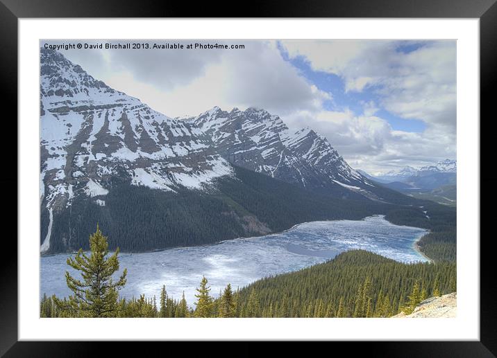 Peyto Lake Canada Framed Mounted Print by David Birchall