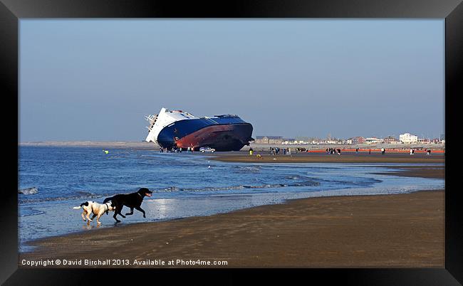 Ferry Riverdance beached on Lancashire coast. Framed Print by David Birchall