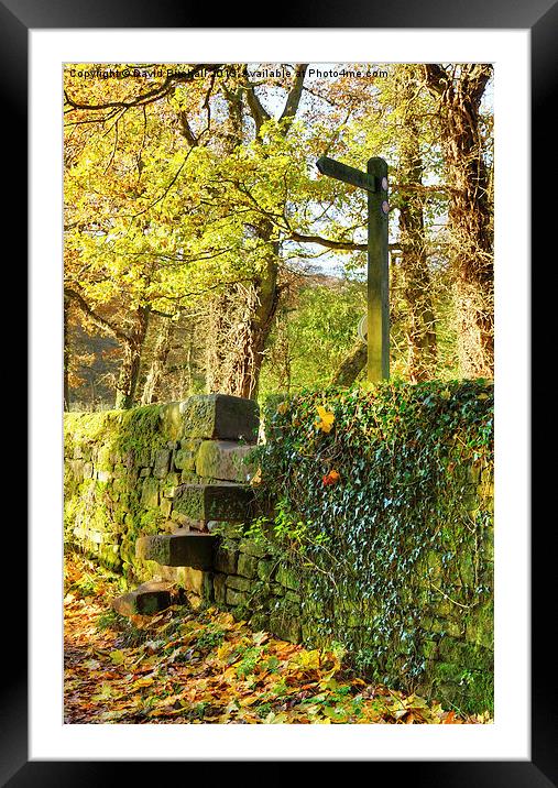 Country Stile, Derbyshire Framed Mounted Print by David Birchall