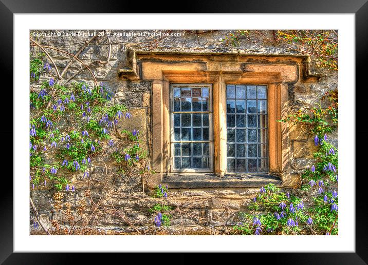 Outside Looking In Framed Mounted Print by David Birchall