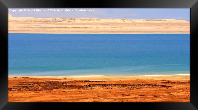 Dead Sea Shore Framed Print by David Birchall