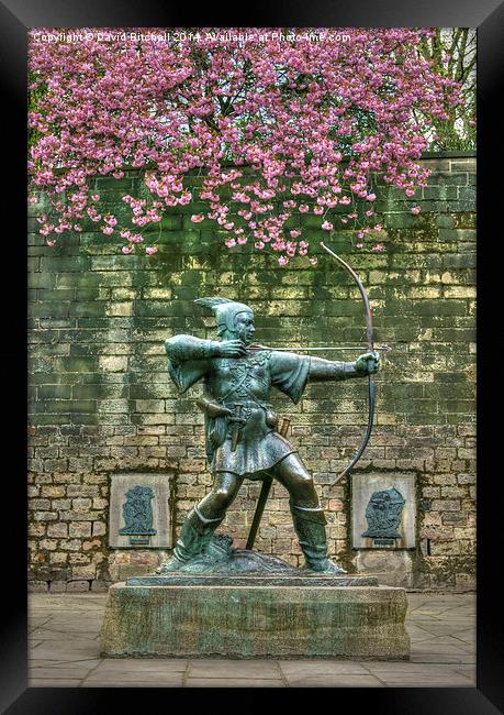 Robin Hood Statue Framed Print by David Birchall