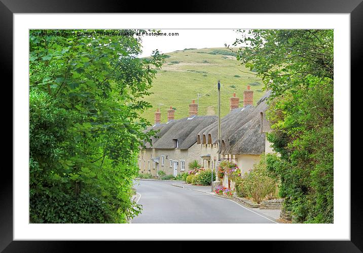 West Lulworth Village, Dorset Framed Mounted Print by David Birchall
