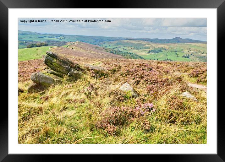 Heather On The Roaches Framed Mounted Print by David Birchall