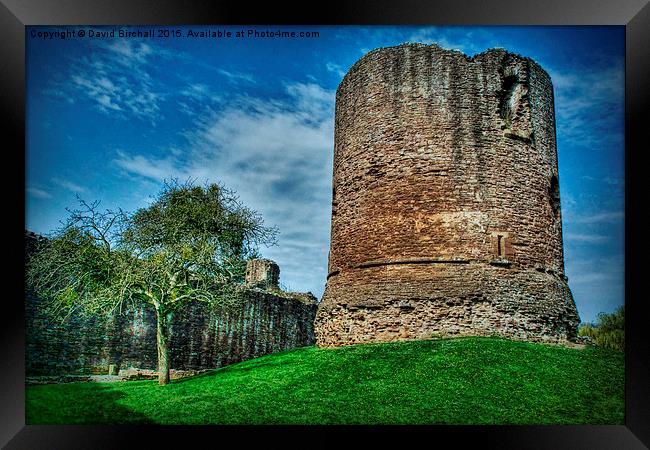 Skenfrith Castle Great Tower  Framed Print by David Birchall