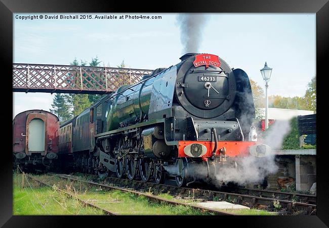 46233 Duchess Of Sutheralnd at Butterley Framed Print by David Birchall