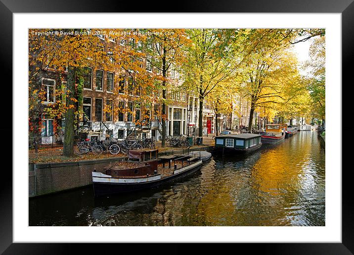 Autumn In Amsterdam  Framed Mounted Print by David Birchall
