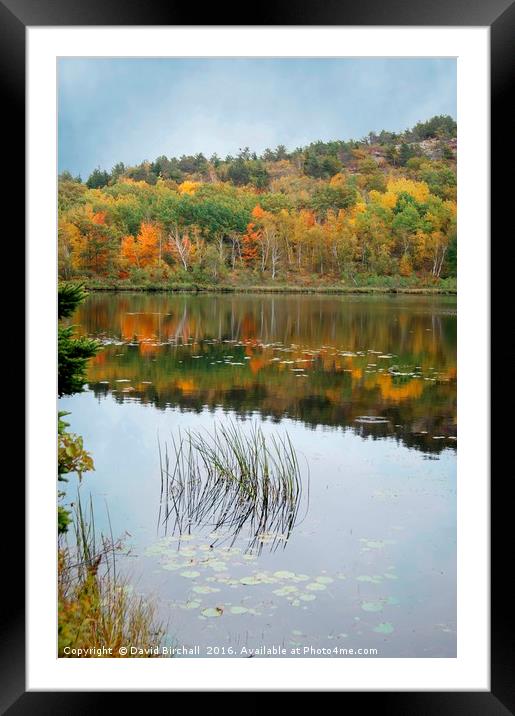 Autumn Reflections in New England. Framed Mounted Print by David Birchall
