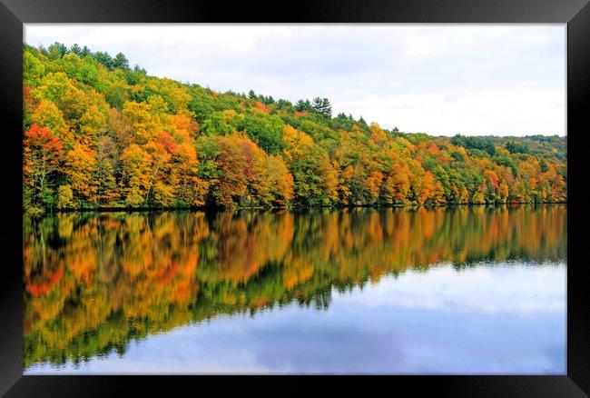 Fall Reflections in New England, America. Framed Print by David Birchall