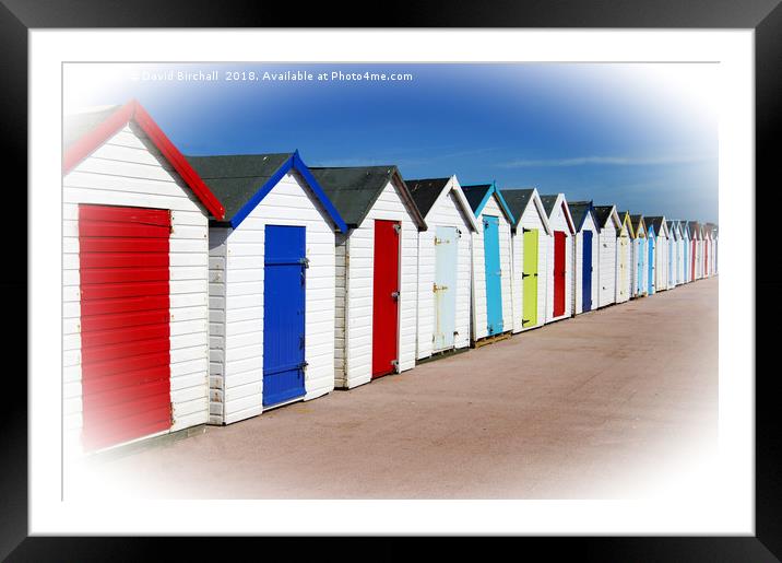 Paignton beach huts Framed Mounted Print by David Birchall