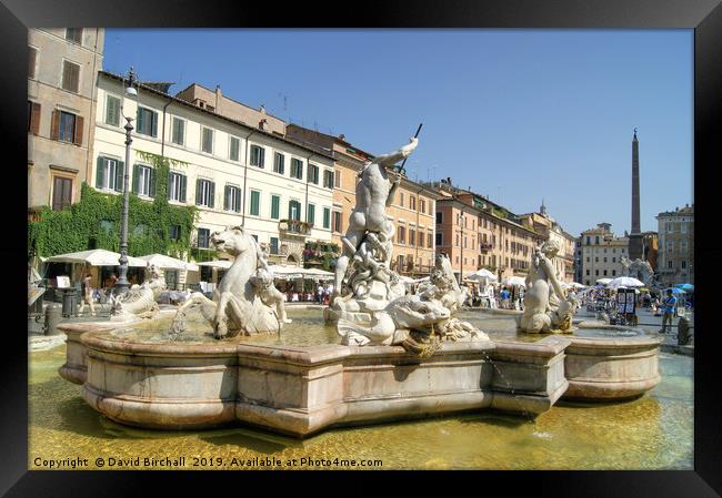 Fountain of Neptune, Piazza Navona, Rome Framed Print by David Birchall