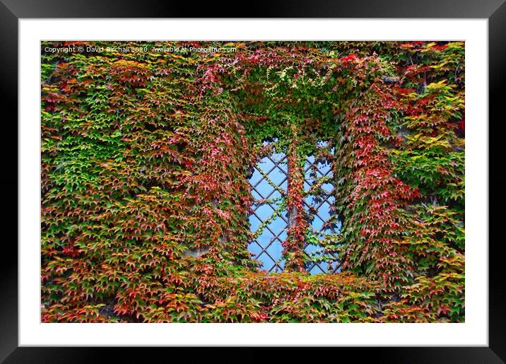 The change from summer to autumn. Framed Mounted Print by David Birchall