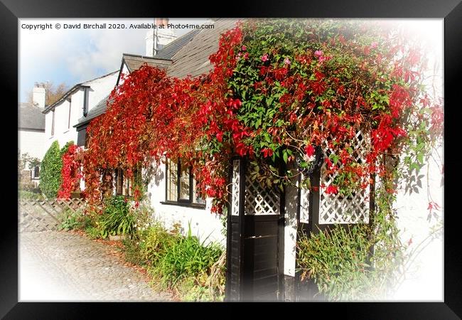 Autumn colour in Scorton, Lancashire. Framed Print by David Birchall