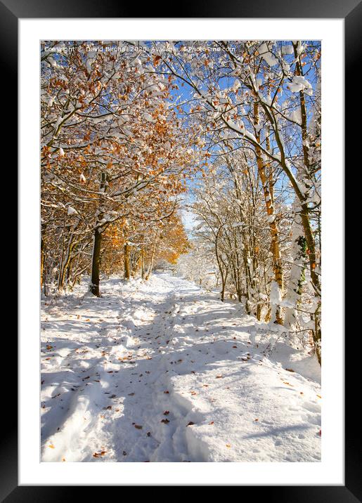 Derbyshire woodland pathway in snow. Framed Mounted Print by David Birchall