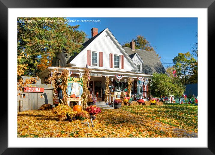 Country store at Jackson, New Hampshire, America. Framed Mounted Print by David Birchall