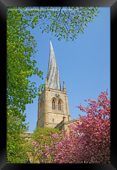 Chesterfield twisted spire. Framed Print by David Birchall