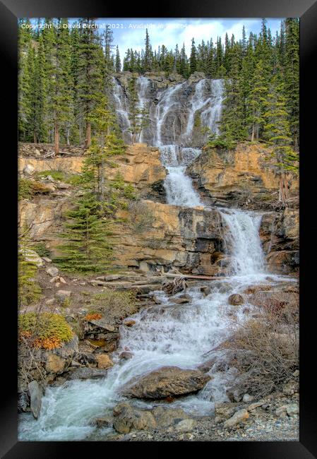 Tangle Falls, Jasper National Park, Canada. Framed Print by David Birchall