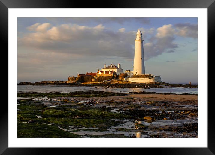  St Marys Lighthouse Framed Mounted Print by Helen Holmes