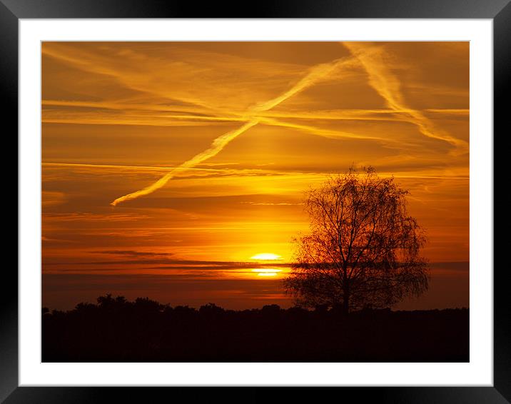 New Forest Sunset Framed Mounted Print by Alan Sutton