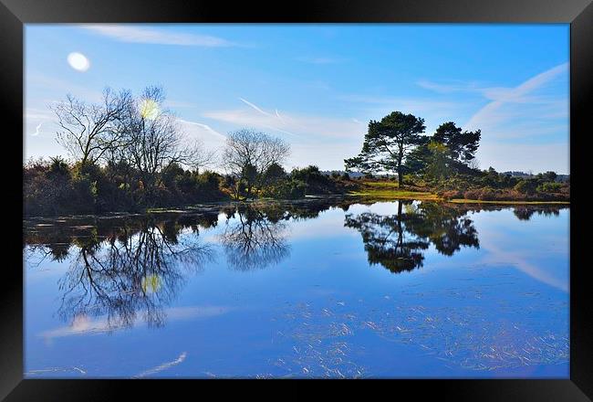 New Forest reflection Framed Print by Alan Sutton
