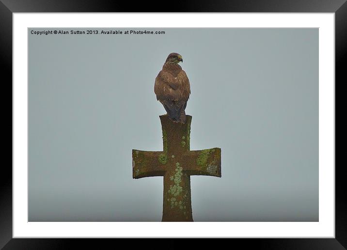 Holy Buzzard Framed Mounted Print by Alan Sutton