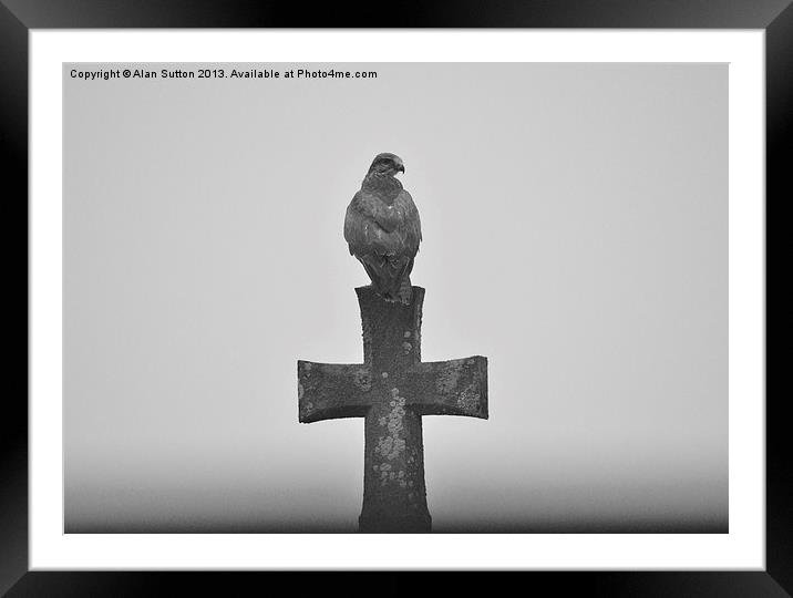 Spooky Buzzard Framed Mounted Print by Alan Sutton