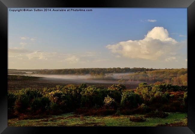 New Forest Misty Morn Framed Print by Alan Sutton