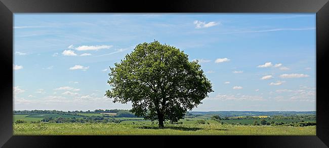 Lone Tree Framed Print by Dean Powell-Perry