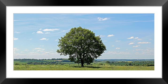 Lone Tree Framed Mounted Print by Dean Powell-Perry