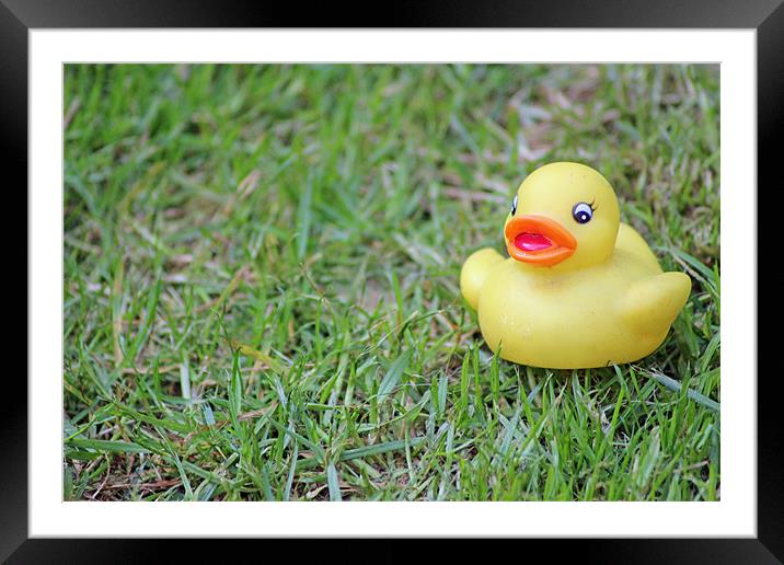 Like a duck to grass Framed Mounted Print by Dean Powell-Perry