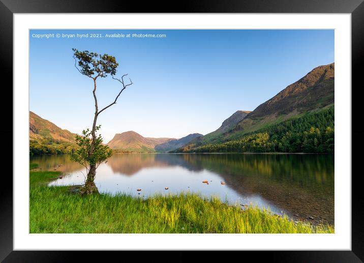 Loan Tree at Buttermere Framed Mounted Print by bryan hynd