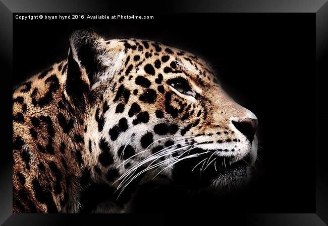  Jaguar Profile 1 Framed Print by bryan hynd