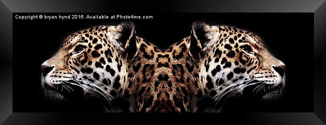  Jaguar Profiles Framed Print by bryan hynd