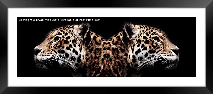  Jaguar Profiles Framed Mounted Print by bryan hynd