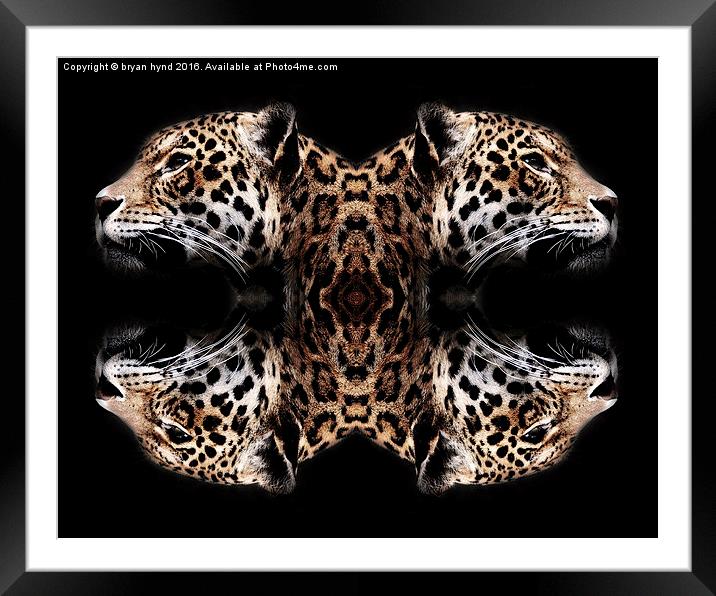  Jaguar art Framed Mounted Print by bryan hynd