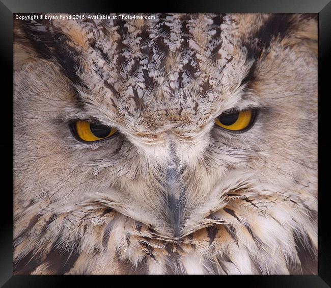  Owl Eyes Framed Print by bryan hynd