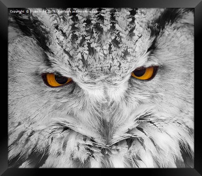  Owl Eyes 2 Framed Print by bryan hynd