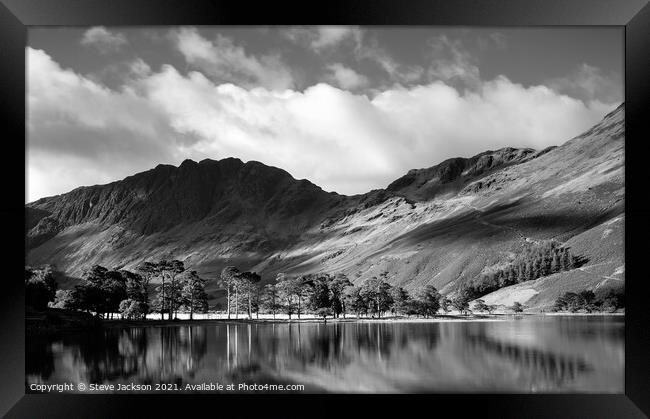 The Pines on Buttermere Framed Print by Steve Jackson
