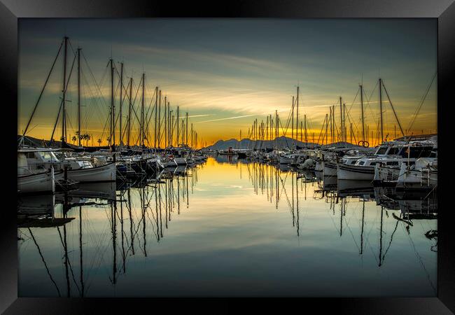 Reflect Framed Print by Perry Johnson
