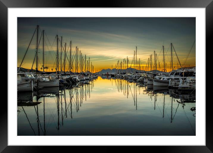 Reflect Framed Mounted Print by Perry Johnson