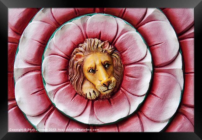Lion Framed Print by Perry Johnson