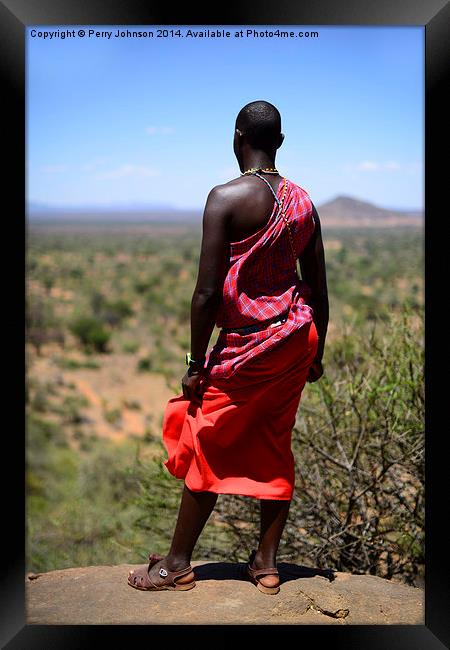 Maasai Warrior  Framed Print by Perry Johnson