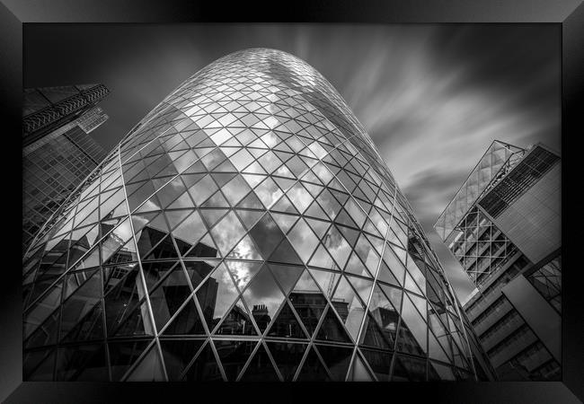 Gherkin Framed Print by Perry Johnson
