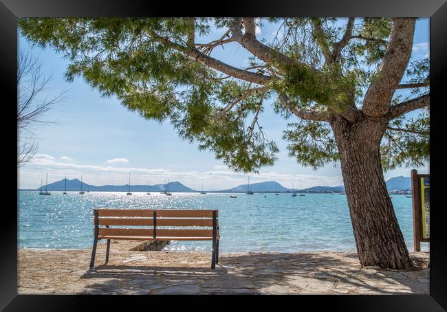 Watching the world go by. Framed Print by Perry Johnson